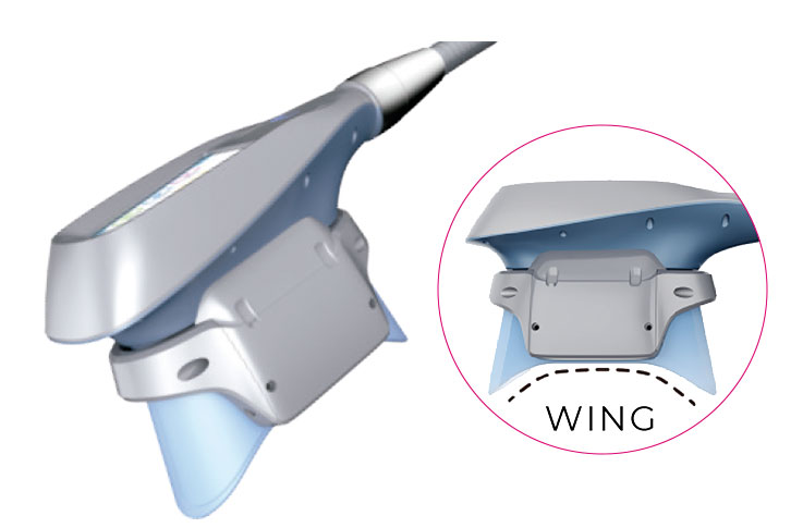 liposmash wing2